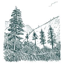 My project for course: Illustrated Diary: Fill Your Sketchbook with Experiences. Projekt z dziedziny Trad, c, jna ilustracja, Sketching,  R, sunek, Sketchbook,  R i sunek atramentem użytkownika Yopi K - 19.10.2022