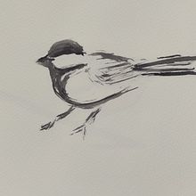 My project for course: Illustrating Nature: A Creative Exploration . % Zsuzsanna Récsán tarafından hazırlanan Geleneksel illüstras, on, Tablo, Çizim, Sulubo, a Resim, Mürekkep İllüstras, onu, Doğalcı İllüstras, Ve on projesi - 10.19.2022