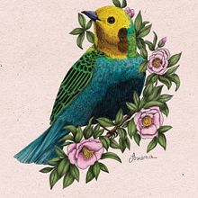 Mon projet du cours : Illustration naturaliste au stylo Ein Projekt aus dem Bereich Traditionelle Illustration, Zeichnung, Realistische Zeichnung und Naturalistische Illustration von Amena Nathan - 19.10.2022