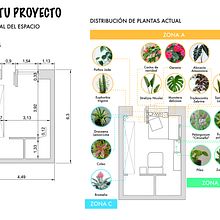 Mi proyecto del curso: Diseño de interiores con plantas desde cero. Interior Design, L, scape Architecture, Decoration, Interior Decoration, DIY, Floral, Plant Design, and Spatial Design project by Melani Freites - 11.03.2022