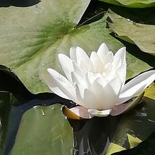 ArteMedicina Ein Projekt aus dem Bereich Social Media Design, Grafikdesign, Design und Werbung von Marcela Castro - 21.10.2022