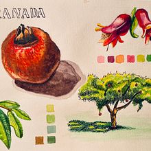 Mi proyecto del curso: Cuaderno botánico en acuarela. Watercolor Painting, and Botanical Illustration project by Mercè Ramon - 10.21.2022