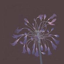 Botanical illustration . Un progetto di Illustrazione tradizionale di Hyea - 21.10.2022