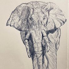 My project for course: Sketchbook Illustration with Pen: Embracing Mistakes . Membuat sketsa, Menggambar, Buku sketsa & Ilustrasi Tinta proyek oleh olsen_bruce - 10.22.2022