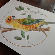 Mein Abschlussprojekt für den Kurs: Filigrane Aquarellmalerei mit Metallic-Akzenten. Traditional illustration, Painting, Watercolor Painting, Botanical Illustration, Naturalistic Illustration, and Decorative Painting project by la_chouette - 10.22.2022