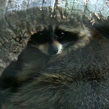 Mi proyecto del curso: Laboratorio experimental de escritura creativa  . Scriere, Creativitate, Stor, telling, Narrativ, Scriere nonficțională, Scrierea ficțiunii și Scriere creativă de Ayla Sanz Peiró - 10.22.2022