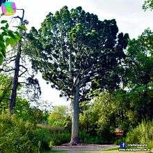 Mi proyecto del curso: Introducción a la escritura creativa desde la experiencia. Writing, Stor, telling, Narrative, Fiction Writing, and Creative Writing project by mijmen2009 - 10.23.2022