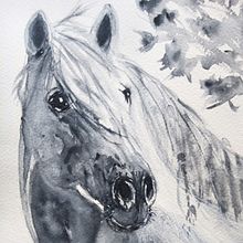 My project for course: Expressive Animal Portraits in Watercolor. Un proyecto de Ilustración tradicional, Pintura a la acuarela, Dibujo realista e Ilustración naturalista				 de whereisyvonne - 18.10.2022