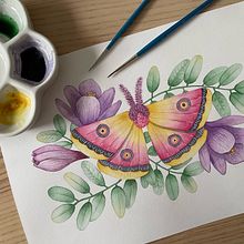 Mój projekt z kursu: Rysunek naturalistyczny i kompozycja w akwareli. Traditional illustration, Drawing, Watercolor Painting, and Naturalistic Illustration project by Magdalena Karwat - 10.23.2022