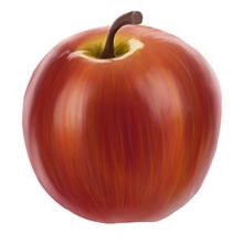 Mein Kursprojekt: Procreate für Anfänger: Lerne digitales Zeichnen. Digital Drawing, and Digital Painting project by Franziska Kröner - 10.23.2022