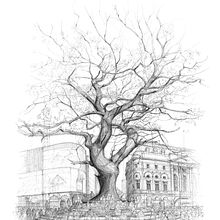 Out of Place, Piccadilly Circus . Un proyecto de Dibujo artístico, Ilustración tradicional, Arquitectura e Ilustración con tinta de Luke Adam Hawker - 23.10.2022