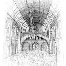 The Natural History Museum, London. Un progetto di Architettura, Disegno artistico, Belle arti e Illustrazione con inchiostro di Luke Adam Hawker - 23.10.2022