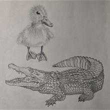 Actividad 2b: animales. Un projet de Illustration traditionnelle, Beaux Arts, Dessin au cra , et on de Anaïs Castro Pros - 24.10.2022
