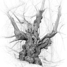The Veteran . Un progetto di Disegno, Belle arti, Illustrazione naturalistica e Illustrazione con inchiostro di Luke Adam Hawker - 24.10.2022
