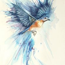 Illustrating the natural world with Watercolor and Charcoal. Traditional illustration project by Wendy Coetzee - 10.25.2022
