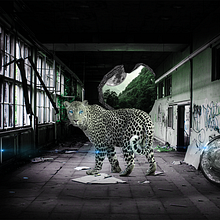 My project for course: Secrets of Photomontage and Creative Retouching. Photomontage project by Saquib Siddiqui - 10.25.2022