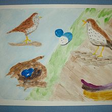My project for course: Illustrating Nature: A Creative Exploration. Traditional illustration, Painting, Drawing, Watercolor Painting, Ink Illustration, and Naturalistic Illustration project by Gary Colles - 10.24.2022