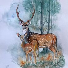 Mi proyecto del curso: Retratos expresivos de animales en acuarela. Projekt z dziedziny Trad, c, jna ilustracja, Malowanie akwarelą, R, sunek realist, czn, Ilustracja naturalist i czna użytkownika Nuria Mas Marsal - 27.10.2022