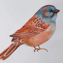 My project for course: Naturalist Bird Illustration with Watercolors. Un proyecto de Ilustración tradicional, Pintura a la acuarela, Dibujo realista e Ilustración naturalista				 de Tatiana Efremova - 27.10.2022