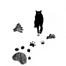 Meu projeto do curso: Introdução à ilustração infantil. Un progetto di Illustrazione tradizionale, Belle arti, Pittura, Disegno a matita, Disegno, Pittura ad acquerello, Illustrazione infantile e Narrativa di Bruna Mota - 27.10.2022