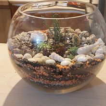 Mi proyecto del curso: Arte vegetal: crea tu propio terrario abierto. Interior Design, L, scape Architecture, Decoration, DIY, Floral, and Plant Design project by Katherine Escares - 10.27.2022