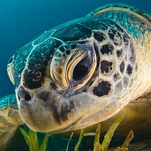 curso de mini realismo  Ein Projekt aus dem Bereich Urban Art von rogeriochiari01 - 28.10.2022