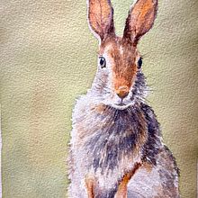My project for course: Expressive Animal Portraits in Watercolor. Traditional illustration, Watercolor Painting, Realistic Drawing, and Naturalistic Illustration project by stevemnwac - 10.28.2022