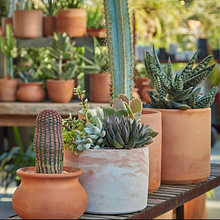 Macetas para Flora Grubb Gardens. Arts, Crafts, Industrial Design, and Product Design project by Andres Garcia - 10.28.2022
