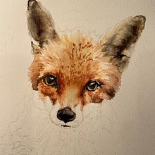 Mr Fox. Projekt z dziedziny Trad, c, jna ilustracja, Malowanie akwarelą, R, sunek realist, czn, Ilustracja naturalist i czna użytkownika Suzie Duncan - 29.10.2022