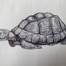 My project for course: Sketchbook Illustration with Pen: Embracing Mistakes. Sketching, Drawing, and Sketchbook project by Cindy Duflot - 11.26.2022