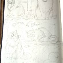 Mon projet du cours : Illustration d’animaux : représentez la faune sur un sketchbook. Traditional illustration, Collage, Sketchbook, and Naturalistic Illustration project by Anita Ede - 10.29.2022