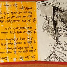 My project for course: Illustrating Nature: A Creative Exploration. Traditional illustration, Painting, Drawing, Watercolor Painting, Ink Illustration, and Naturalistic Illustration project by Barbara Manning - 10.29.2022