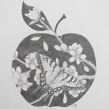 Mijn project van de cursus: Naturalistisch tekenen met potlood. Pencil Drawing, Drawing, Artistic Drawing, and Naturalistic Illustration project by Esther van der Meer - 10.30.2022