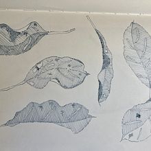 My project for course: Illustrated Diary: Fill Your Sketchbook with Experiences. Traditional illustration, Sketching, Drawing, Sketchbook & Ink Illustration project by Susanne Taudte - 11.02.2022