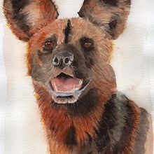 My project for course: Expressive Animal Portraits in Watercolor. Traditional illustration, Watercolor Painting, Realistic Drawing, and Naturalistic Illustration project by grilka - 11.01.2022