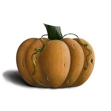 Sweet pumpkin. Traditional illustration, Realistic Drawing, Artistic Drawing, and Digital Design project by Laura Barquet Fernández - 10.01.2022