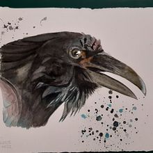 Mi proyecto del curso: Retratos expresivos de animales en acuarela. Ilustração tradicional, Pintura em aquarela, Desenho realista e Ilustração naturalista projeto de caranza1975 - 02.11.2022