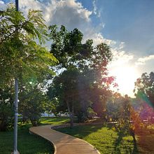 Árboles. Un proyecto de Escritura, Creatividad y Narrativa de ataliarz_98 - 02.11.2022