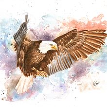 Bald Eagle in Watercolor. Arts, Crafts, Fine Arts, Watercolor Painting, and Painting project by Roshni Mehta - 11.03.2022