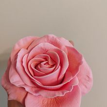 Mein Abschlussprojekt für den Kurs: Zuckerblumen für Cake Design. Projekt z dziedziny Design i DIY użytkownika Dragana Bilus - 03.11.2022