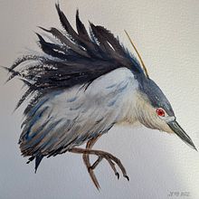 My project for course: Naturalist Watercolor with Expression and Personality. Un proyecto de Ilustración tradicional, Pintura a la acuarela e Ilustración naturalista				 de Catalina Ionescu - 03.11.2022