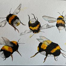 My project for course: Illustrating the Natural World with Watercolor and Charcoal. Traditional illustration, Painting, and Naturalistic Illustration project by Catalina Ionescu - 11.03.2022
