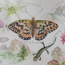 Meu projeto do curso: Diário de Insetos — Itália. Traditional illustration, Watercolor Painting, Botanical Illustration, Sketchbook, and Naturalistic Illustration project by Andrea Tostes - 11.03.2022