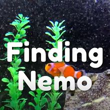 Live Action Finding Nemo Title Sequence . % juliana_cianciotto tarafından hazırlanan Hareketli Grafikler, Film, Video ve TV, Animas, on, Ve Grafik Tasarım projesi - 12.02.2020