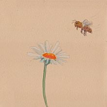 My project for course: Illustrating the Natural World with Watercolor and Charcoal. Un proyecto de Ilustración tradicional, Pintura e Ilustración naturalista				 de Ingrid H - 05.11.2022