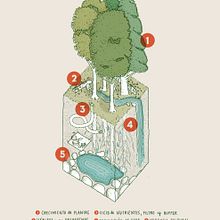 Endémico Magazine. Information Design project by Catalina Plé - 11.05.2022