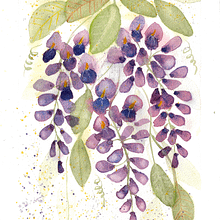 Acuarela floral: conecta con la naturaleza. Un progetto di Illustrazione tradizionale, Pittura, Pittura ad acquerello e Illustrazione botanica di liliana - 06.11.2022