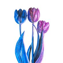 Il mio progetto del corso: Illustrare la natura: esplorazione creativa. Un projet de Illustration traditionnelle, Peinture, Dessin, Aquarelle, Illustration à l'encre, Illustration naturaliste et Illustration botanique de Giorgia Migli - 06.11.2022