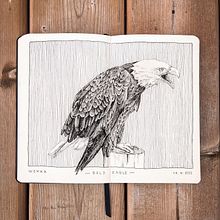 Inktober 2022. Traditional illustration, Sketching, Drawing, Sketchbook & Ink Illustration project by Chloé Levasseur - 10.23.2022