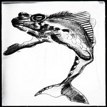 Ranallena Rana + Ballena (Animalario 1). Un proyecto de Ilustración tradicional, Dibujo a lápiz, Dibujo, Bocetado, Ilustración naturalista				, Diseño y Sketchbook de Alberto Serrano Casaus - 07.11.2022